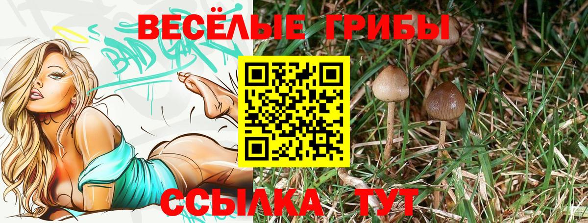 Галлюциногенные грибы прущие грибы Прокопьевск