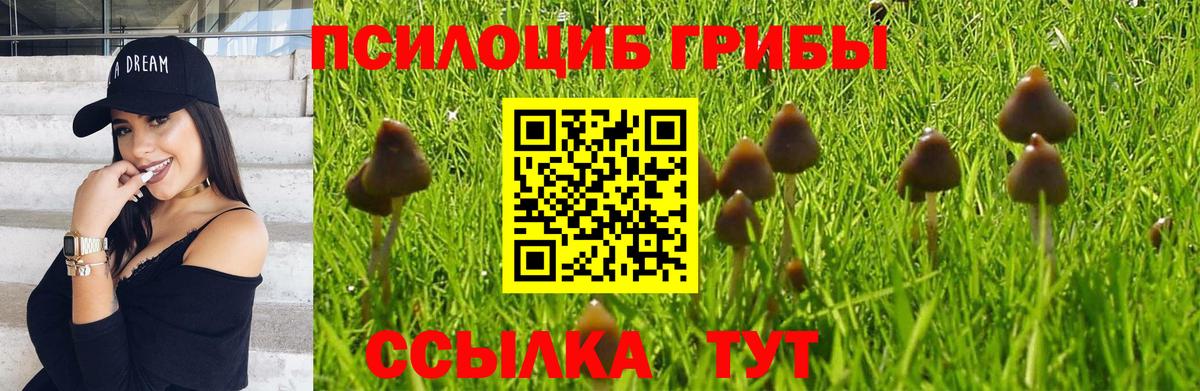 Псилоцибиновые грибы прущие грибы  Вход с VPN  закладки  Прокопьевск  Галлюциногенные грибы ЛСД 